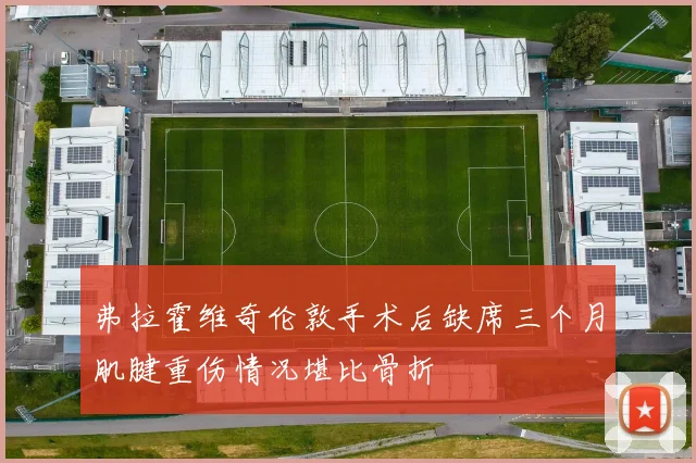 弗拉霍维奇伦敦手术后缺席三个月肌腱重伤情况堪比骨折