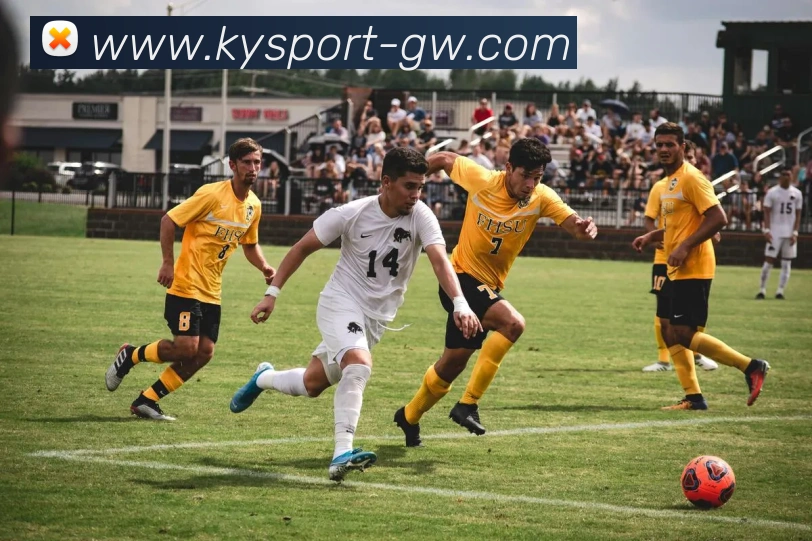 开元棋牌APP 体育赛事宣传图